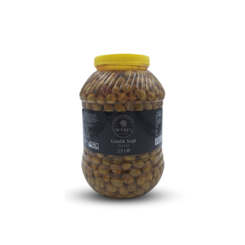 El Yapımı Gemlik Yeşil Zeytin - 3,5Kg